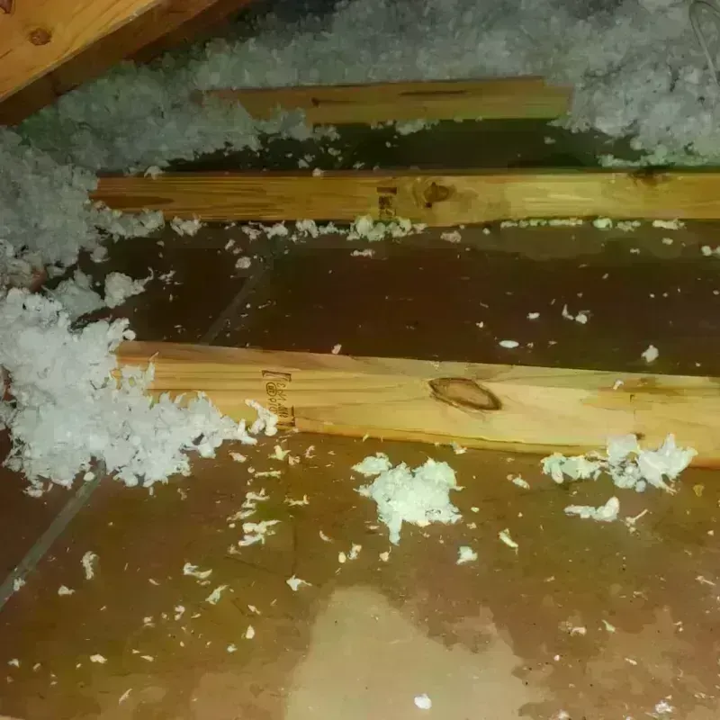 Attic Water Damage in Pantops, VA